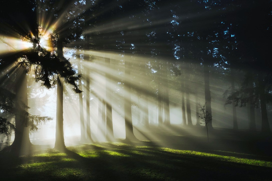 kristine-weilert-88989-unsplash (2)